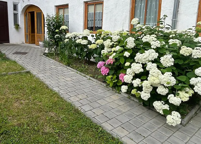 Stone Way Apartment
